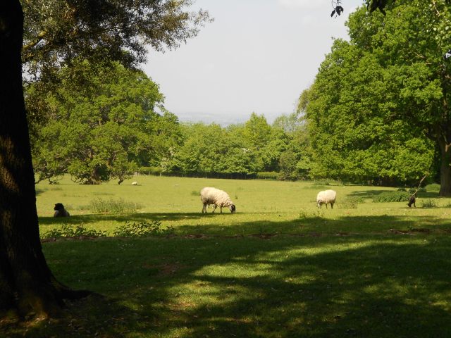 00F12922-02C5-4D77-AA18-DD3ED7CDCFEF