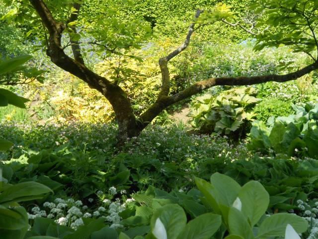 16B8DE48-CBFD-48A5-8A55-1214B114D290