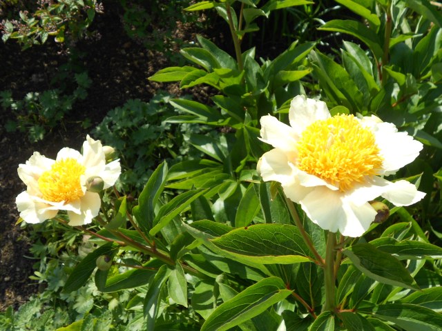 66234478-42B0-419D-9770-C84947BA16E9