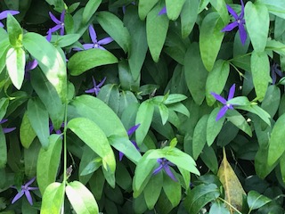 82BBEDCA-B222-49E7-830C-BB9A8C1665BA