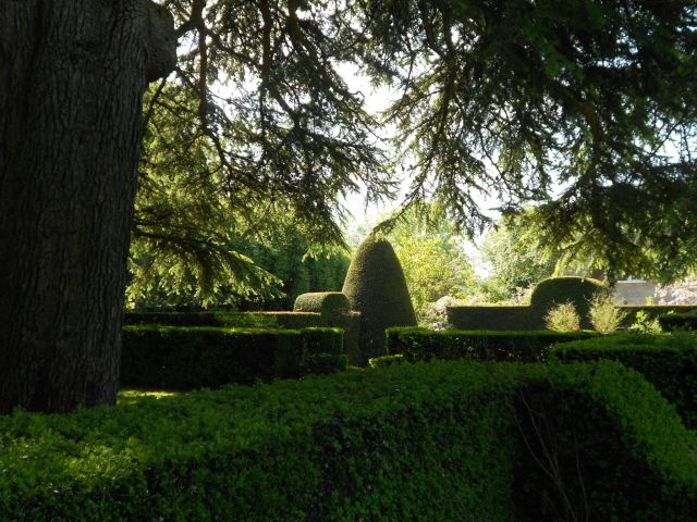 8A7297B1-8E97-462E-A595-9EDC205F0DFE