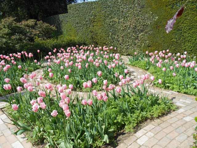 A8B03ED5-868B-4954-B006-21E65A671D32