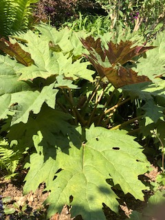 ED6B1D69-5D86-46D9-BC88-710D259E4FDF