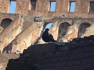 F1E50A88-8FFE-467A-AB0E-41B3ABAE379D