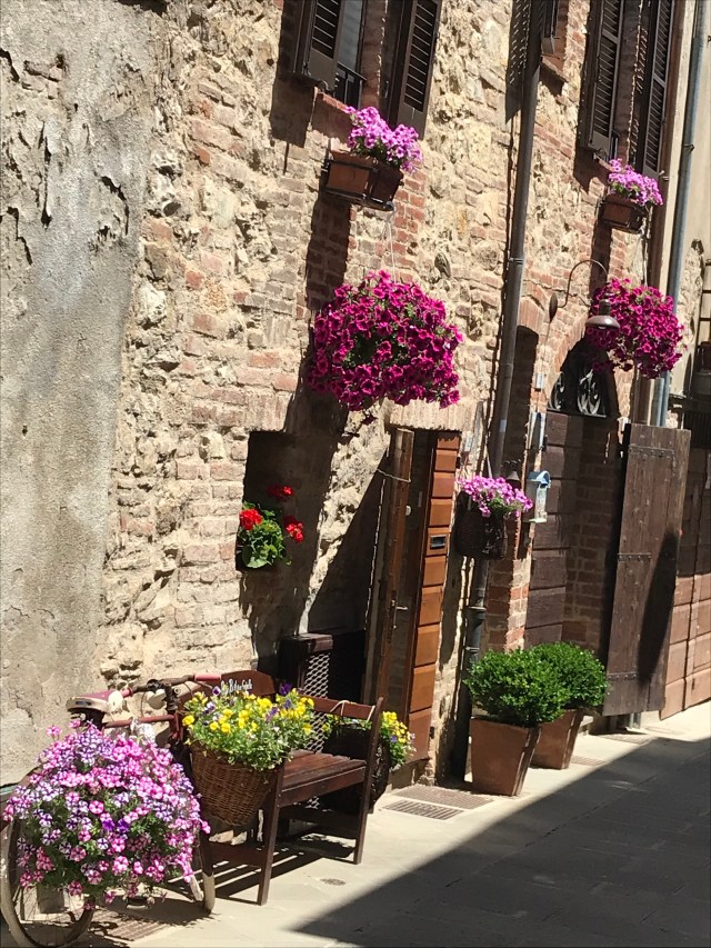 03D21283-4785-44C2-BF3D-81EB2EE49808