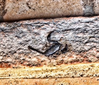 2E00663B-8220-484F-B6D3-C6C32B6D86F9