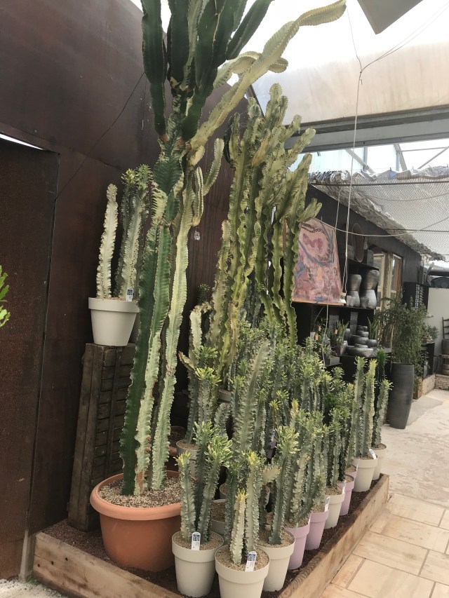 31966F2A-5364-4518-BAAD-BB462FE07945