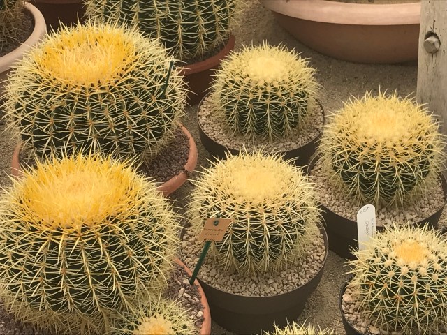 47FF892F-B68C-473A-93C3-F9C7016B9AB2