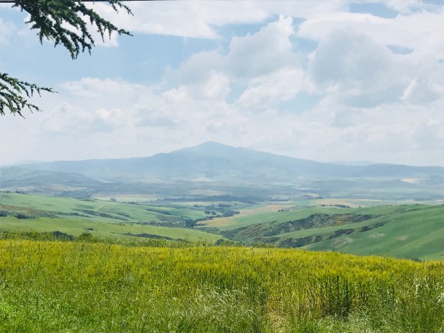 4ED55D20-D537-43C3-B472-1A596D8D126A