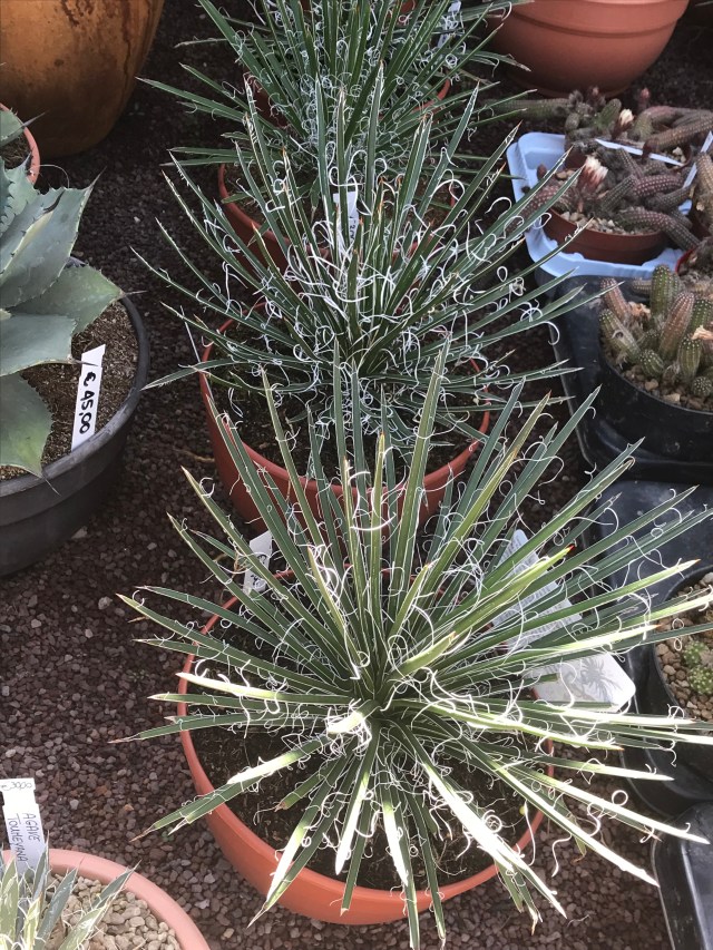 52771A25-8DEE-4979-9CFA-2219F69AEB2E