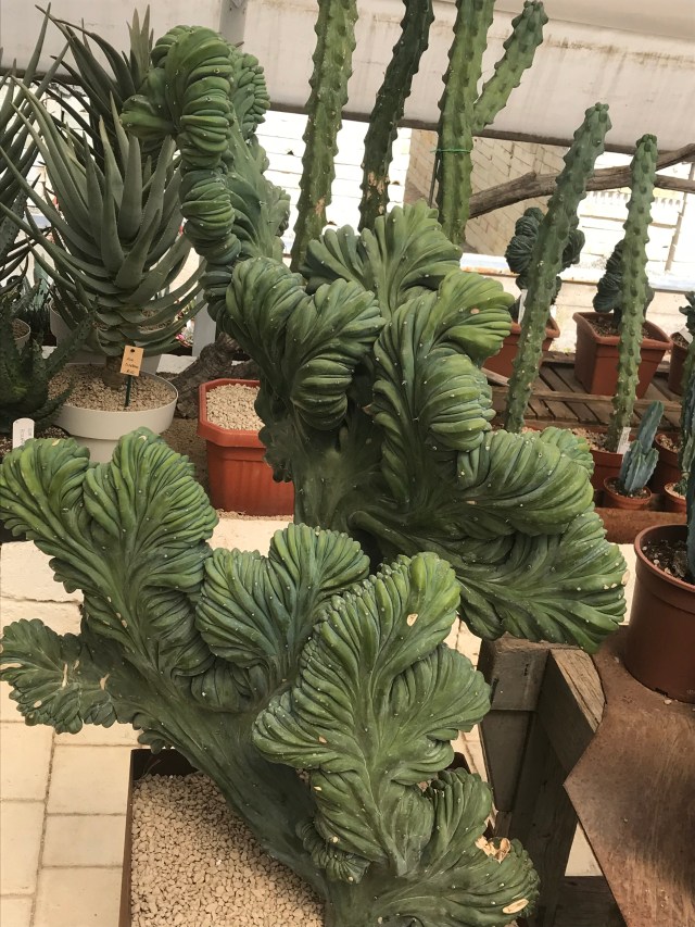 527BD5C4-54DA-4370-8659-36A224DC28A2