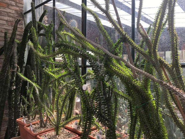 57F924AD-0440-43F2-B817-FEBD7ADDD487