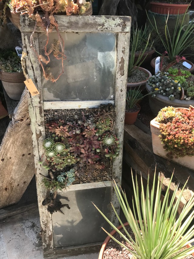 58E0A266-16AB-42E6-948E-BBCF667FE01C