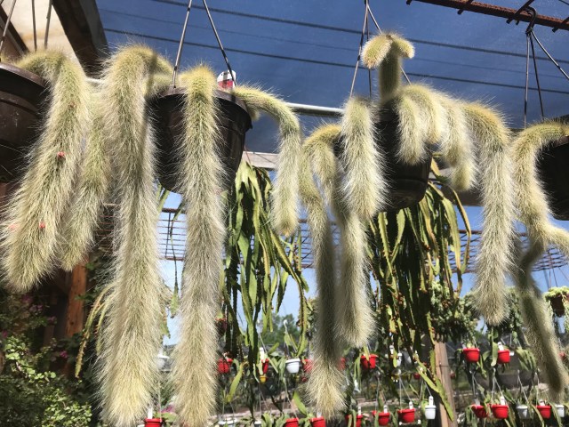 626F167A-5A91-4992-BCA4-B9DE4A28B3B9