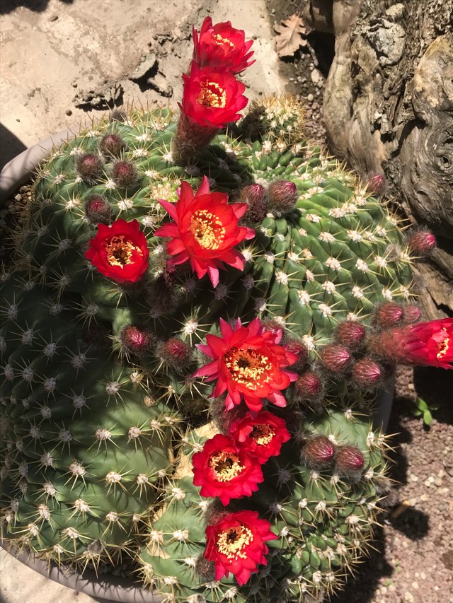 869E0AE7-34A0-4963-9E8E-C411C62077D6