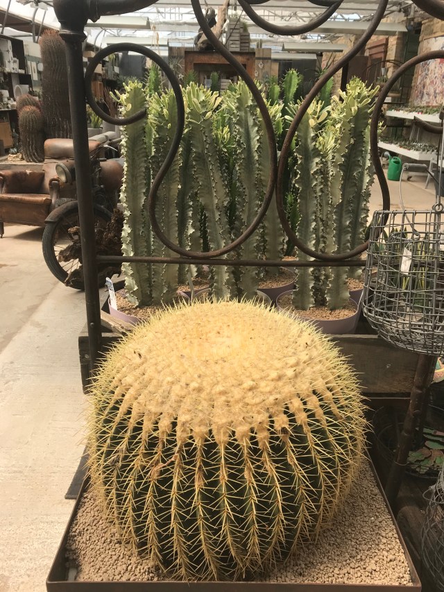 DDE288D9-BBD9-44A8-A25A-E6BE3F6325F1