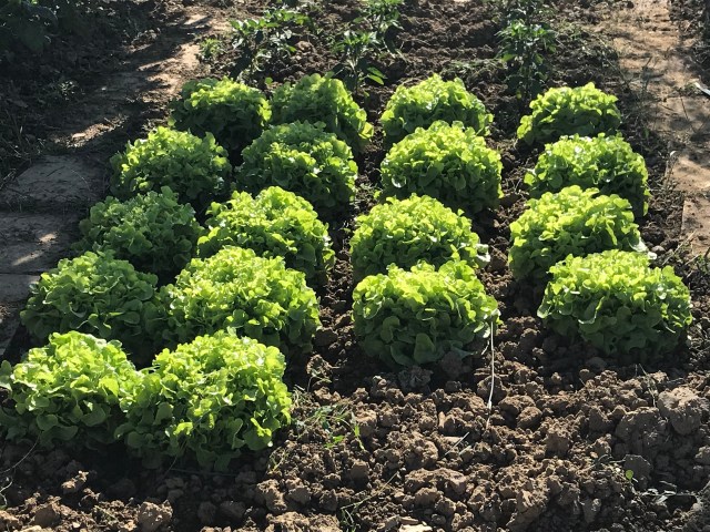 E9FA2488-4972-4CAB-9705-9C724B34E0F2