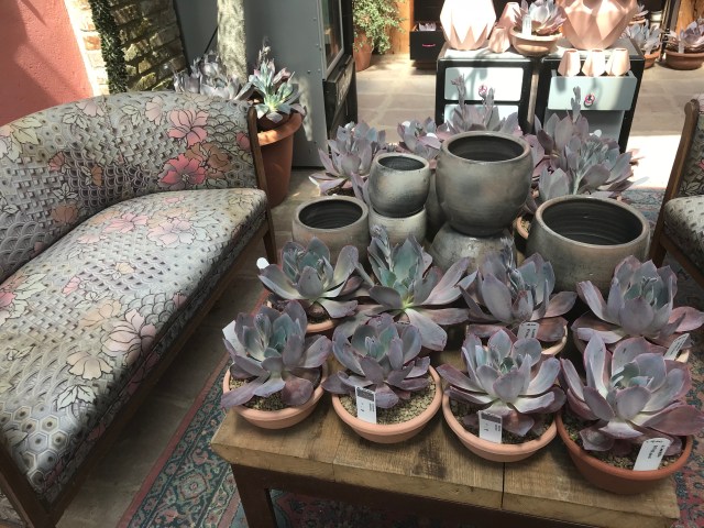 ED6ACB90-FBE6-49E0-B0DF-93B6CD21A0EF